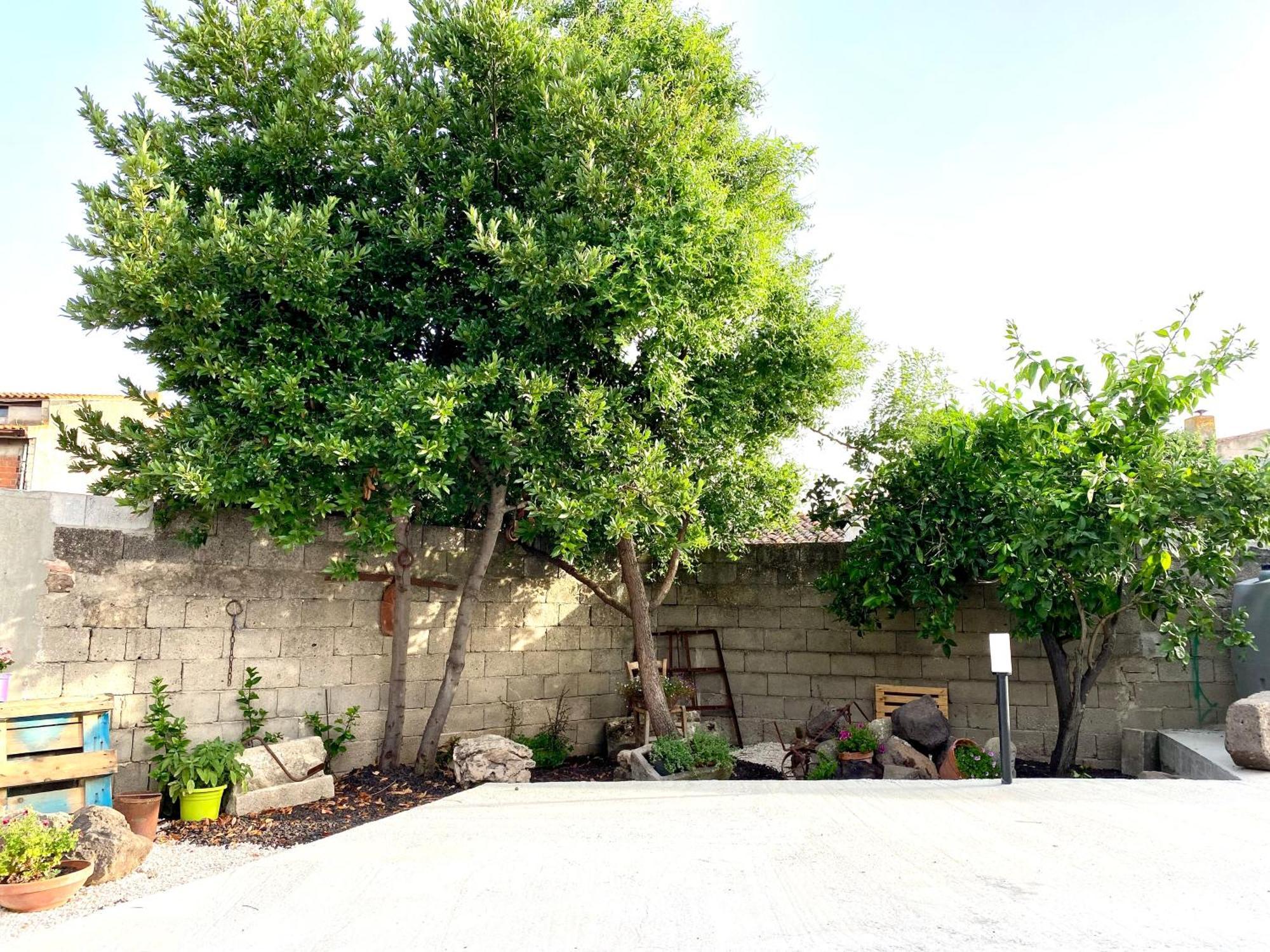 Casa Mora Apartamento San Vero Milis Exterior foto